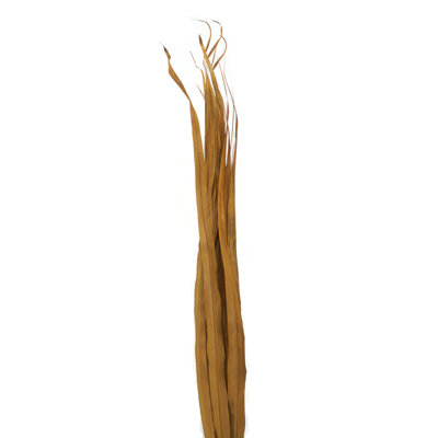 Palm Arrangement