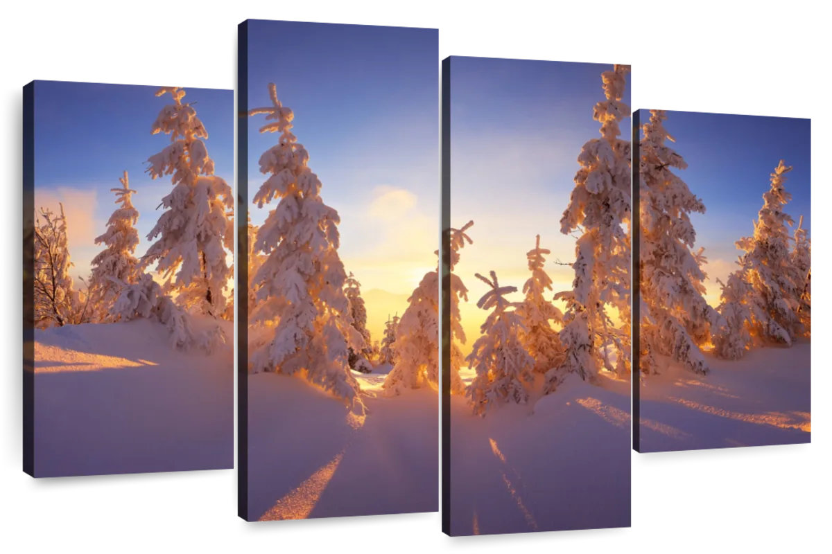 Millwood Pines Alvord Winter Forest Sunset | Wayfair