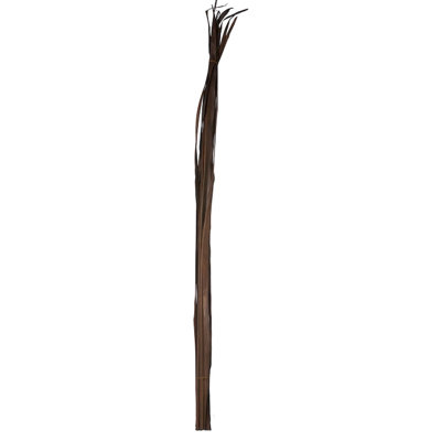 Douille de feuille savanna