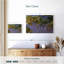 Wisterias-1353073898