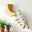 Ensemble de hamac pour chat