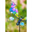 Weather Resistant Glass Insects Garden Stake