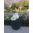 Karola Pot Planter-1267224129-1267224138