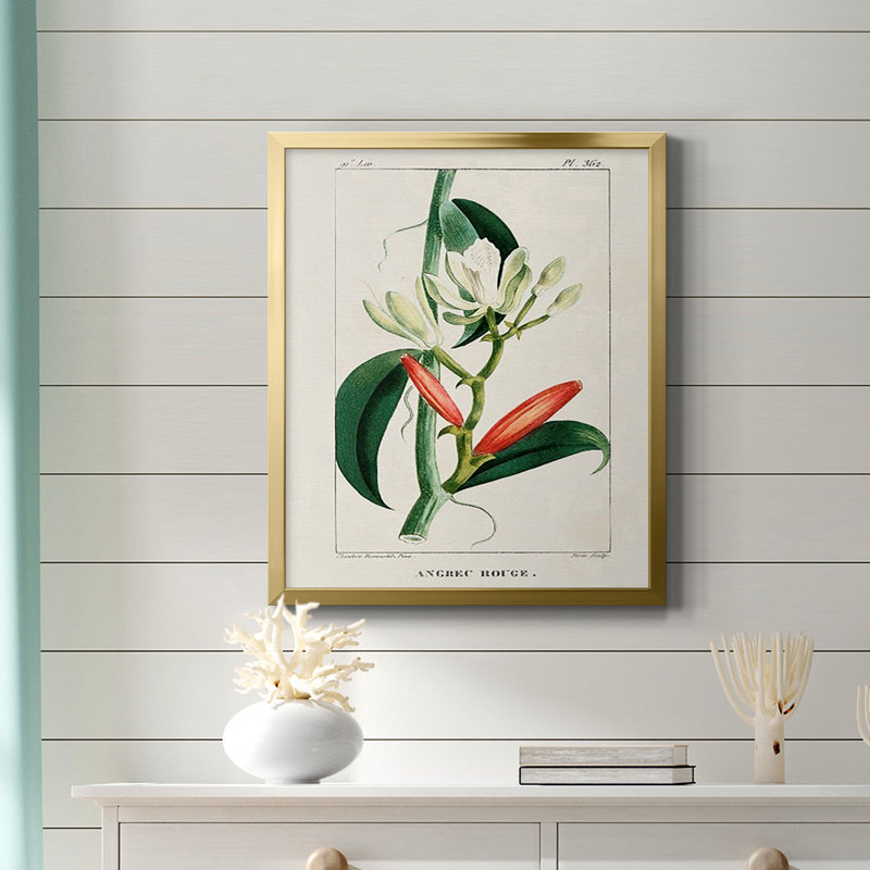 Toile encadrée Turpin Tropical Botanicals, Or, H 20 po x l 16 po