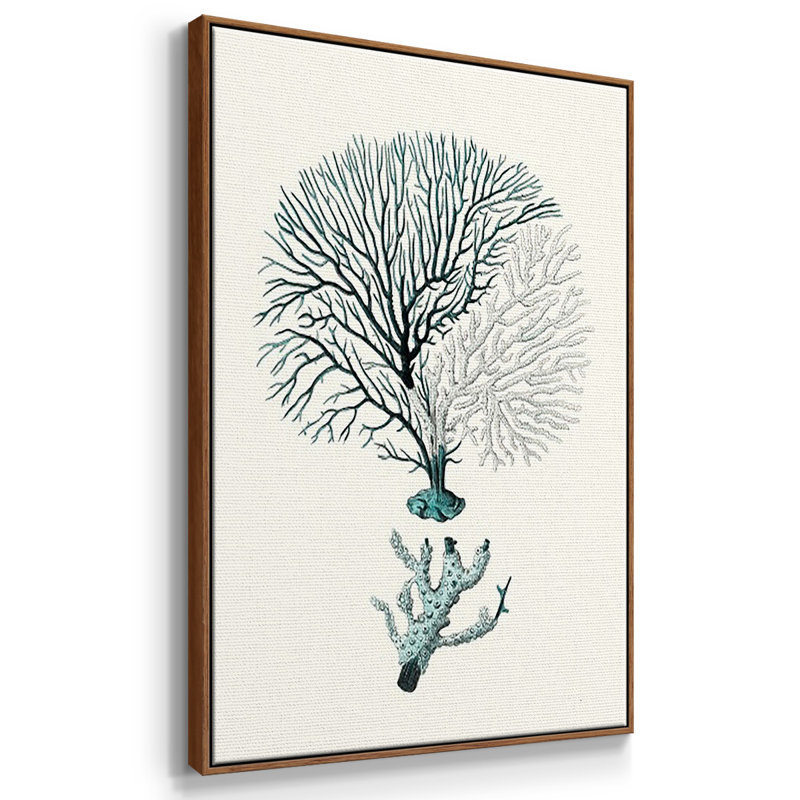 Antique Coastal Coral I, impression sur toile 3 pièces, H 24 po x l 48 po x P 2 po, Noyer