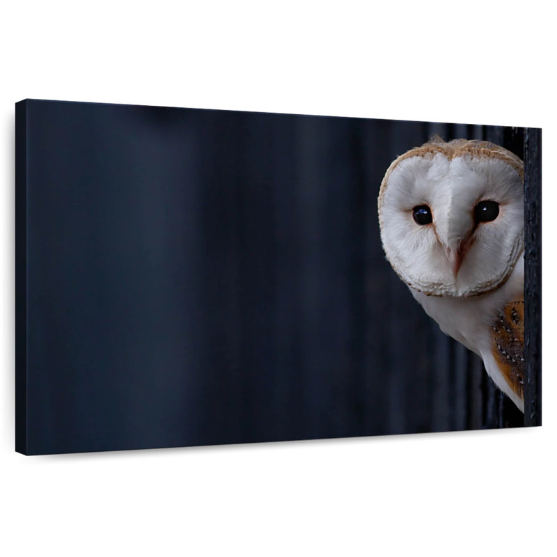 Brampt Owl Peering Out, 24" H x 36" W