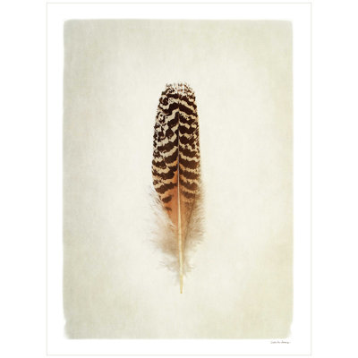 «Feather I» par Debra Van Swearingen - impression sur toile tendue