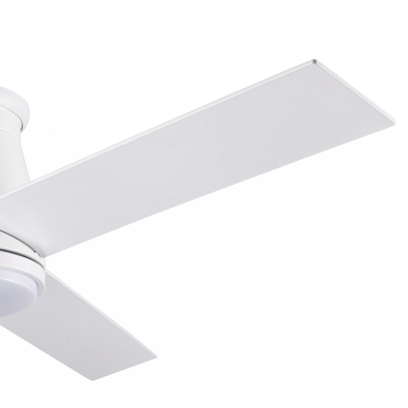 Jazyon 48'' Ceiling Fan with Light Kit, White