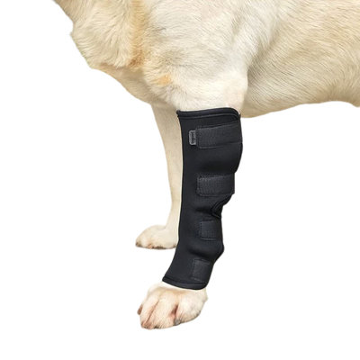 Pet Crate Accessory