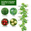 Treillis d'escalade blanc en forme de U pour plantes, jardinière de jardin, support à légumes, treillis d'extérieur pour balcon, patio, jardin-129907658