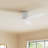 Aisling Ceiling Fan with LED Lights-88061693-88061694-88061688