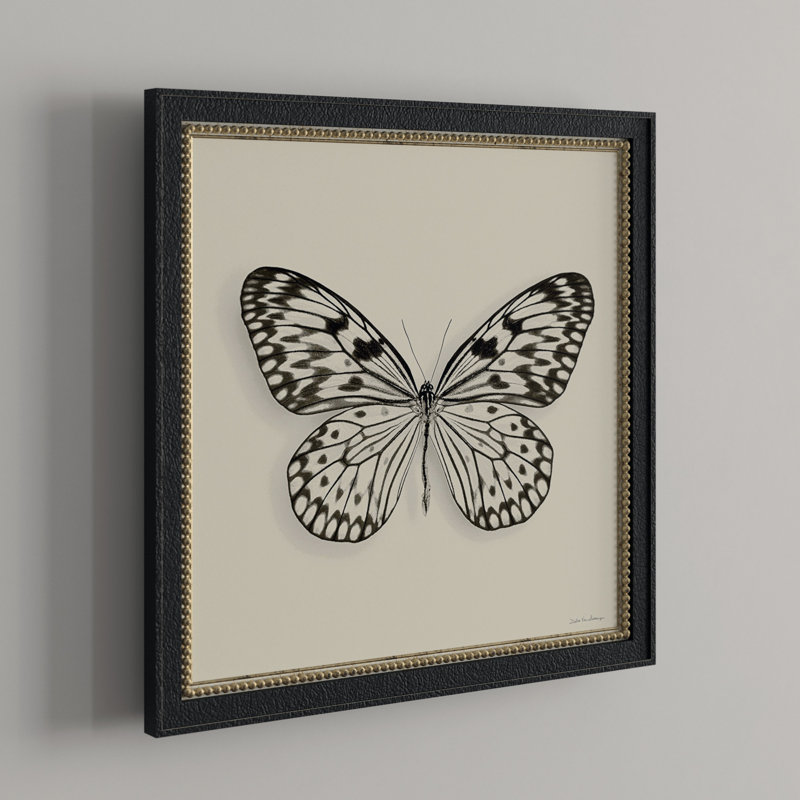 " Butterfly V BW "
