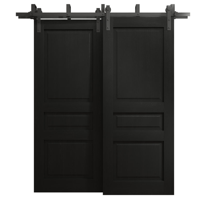 Portes coulissantes de grange coulissantes pour garde-robe | Ego 5012 | Ensemble de quincaillerie Modern Rails | Portes de garde-robe de chambre en bois massif