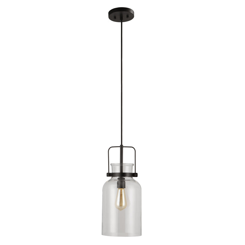 Luminaire suspendu bocal unique 1 lumière Nouvelle