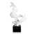 White is out of stock selected