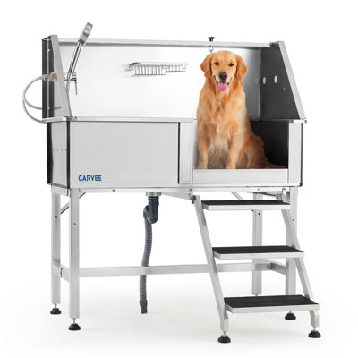 Station de lavage pour chien de 46 po avec bras de toilettage en acier inoxydable 46 po