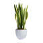 Pot à fleur Dorlis Fiberstone-881441044-881441128