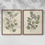 Pressed Arrangement III - Reproduction encadrée de qualité supérieure - prêt à être accroché - aucun clou requis - aucun clou requis-910221026-910221029