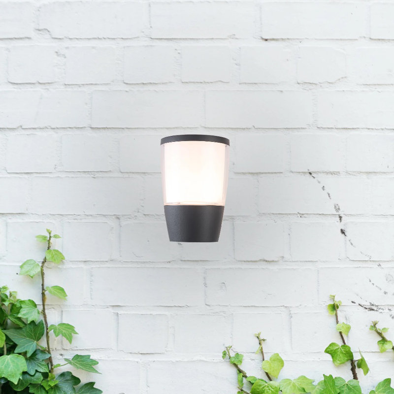 Canonsburg 16.3cm H Outdoor Armed Sconce, Grey