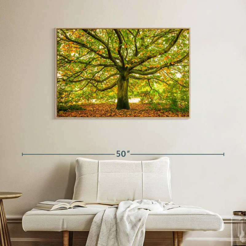 Chêne de Londres, Cadre flottant en bois naturel, 40 po x 27 po