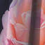 Cormack - Rideau Roses - Rideau floral occultant en velours - 1 panneau-863064267