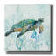 Épopée «Sea Turtle Swim» par Carol Robinson, «Sea Turtle Swim» par Carol Robinson