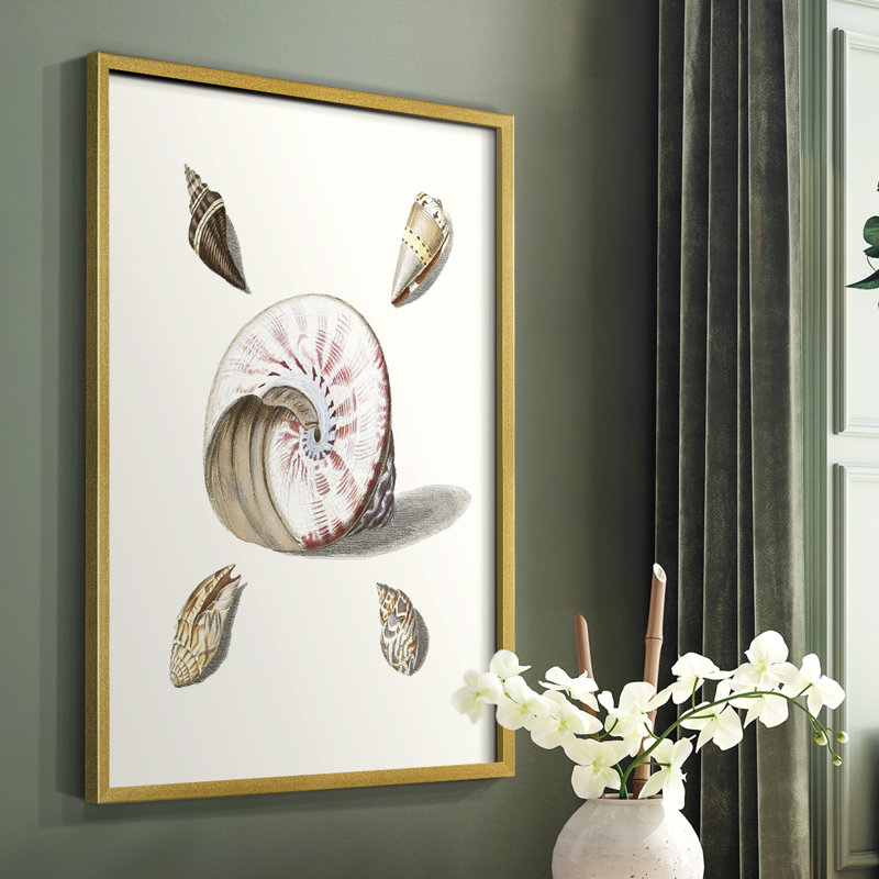 «Pastel Knorr Shells II», reproduction encadrée - bois massif, H 20 po x l 16 po, Encadrement doré