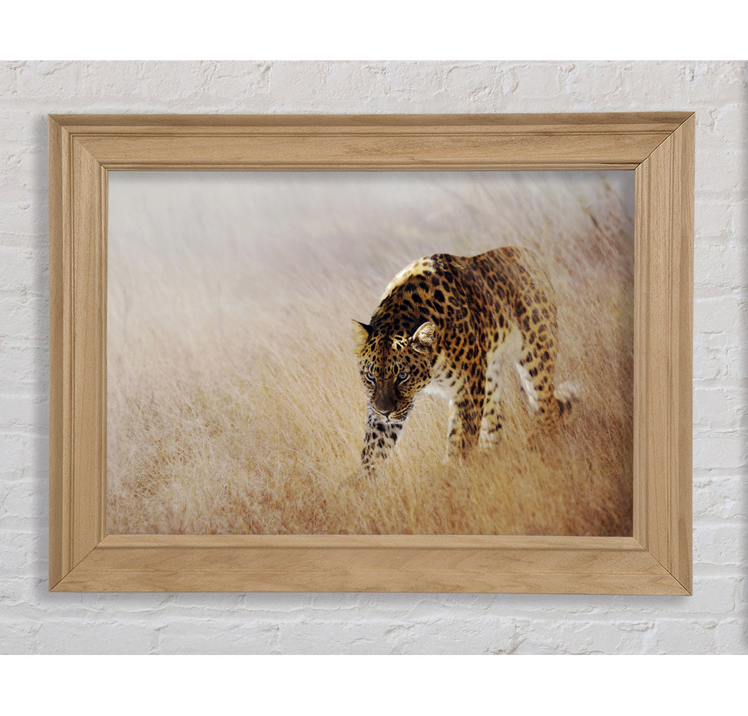 Streifender Leopard Gerahmter Druck Wandkunst