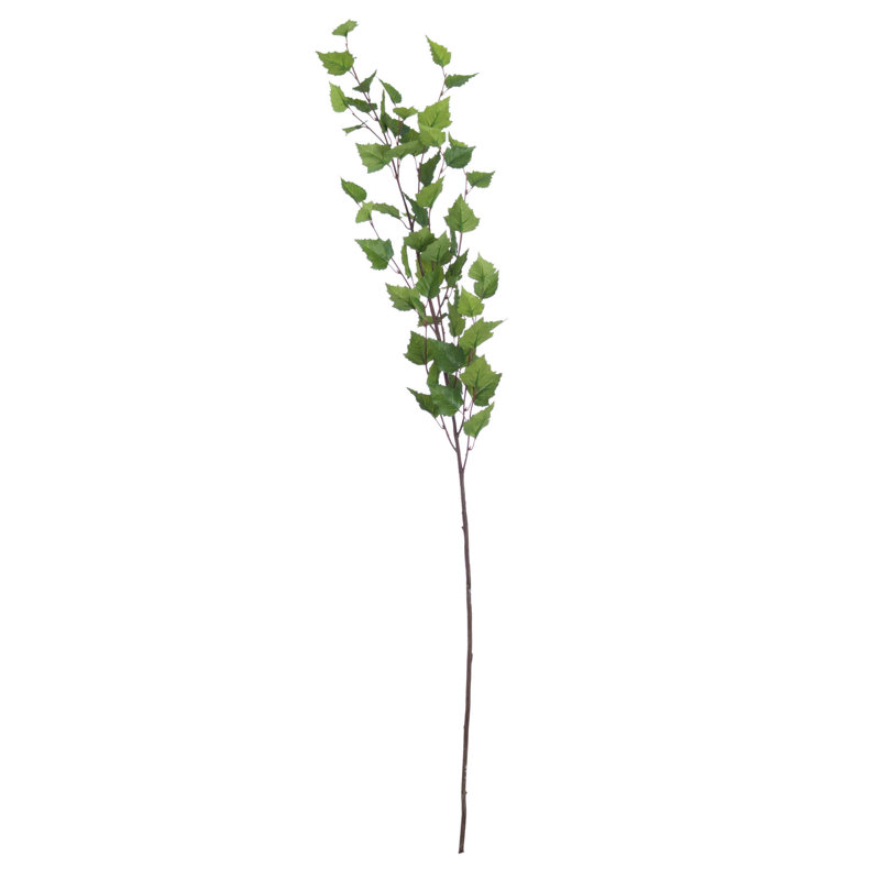 Anastasija Arrangement