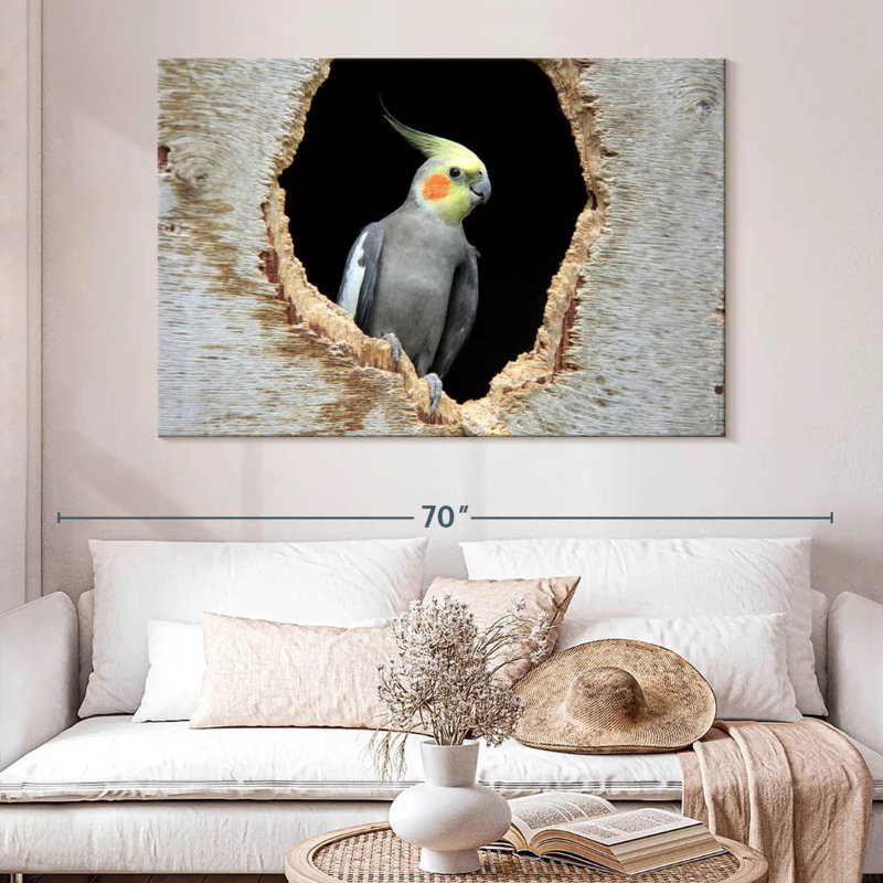 Cockatiel Brampt dans un trou, H 34 po x l 51 po
