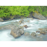 Sauk River #2 Print by Bruce Heinemann