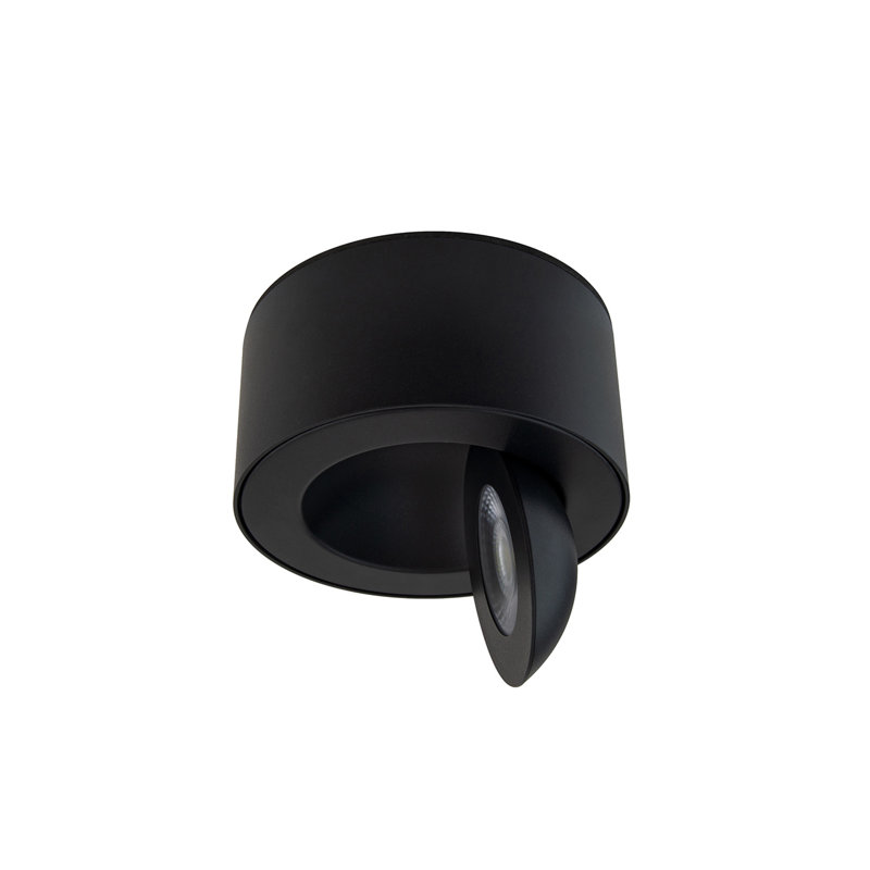 I Spy Sleek Black LED Outdoor Flush Mount Light