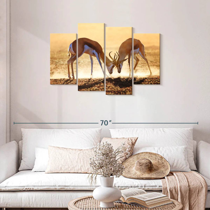 Antelope Springbok Duel