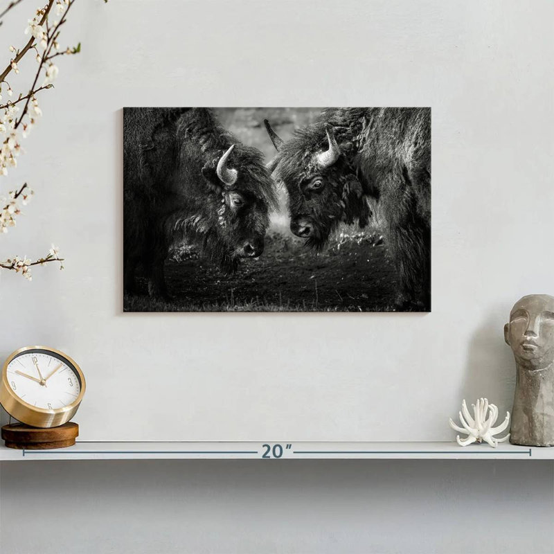 Brampt Bisons Head To Head, 8" H x 12" W