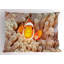 Ensemble de 2 taies décoratives Ambesonne Ocean-99906405