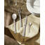 Santiago Stainless Steel Dinner Fork