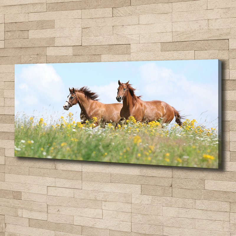 Two Horses At A Gallop - Wrapped Canvas Print