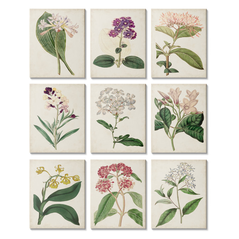 «Warm Spring Floral Botanicals Over Beige Vintage Study» par Ridgeway - ensemble de 9 impressions non encadrées sur toile