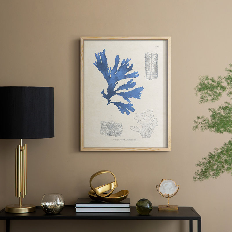Blue Marine Algae VIII Framed Print - Solid Wood, 15" H x 12" W