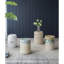 Table d'appoint contemporaine Accent Design