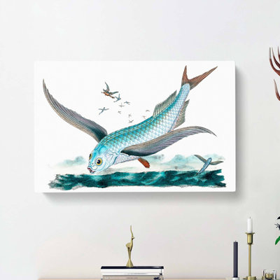 Flying-Fish by Edward Donovan - Wrapped Canvas