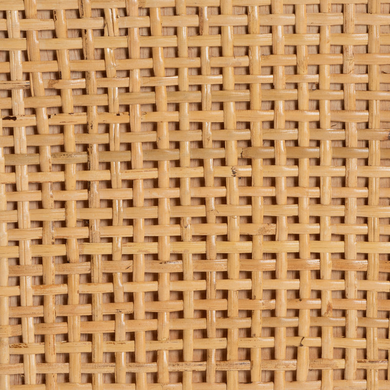 Wroblewski 2 - Door Rattan and Mahogany wood Accent Cabinet