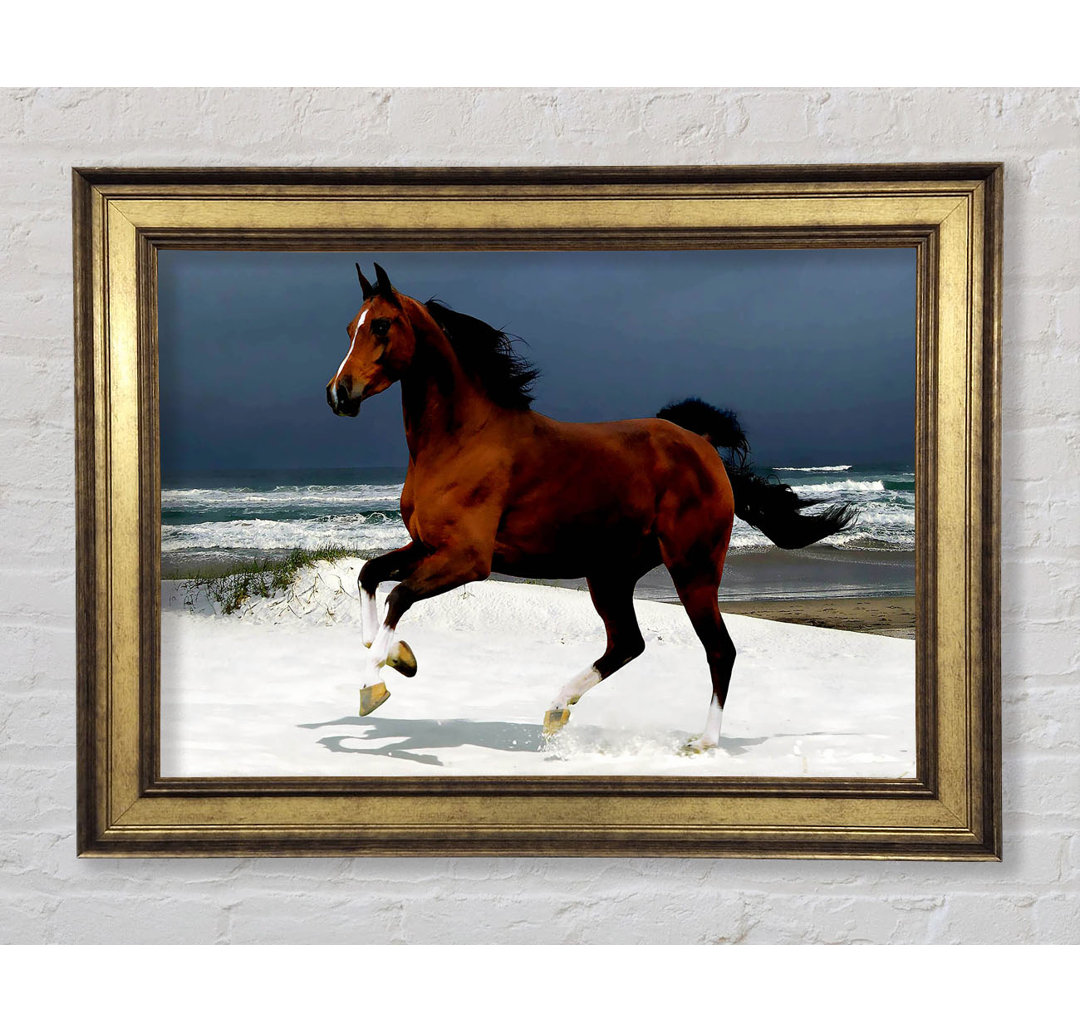 Ocean Horse Beauty - Bilderrahmen Kunstdrucke