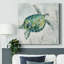 Tortue de verre de mer I - impression sur toile tendue-2086830629