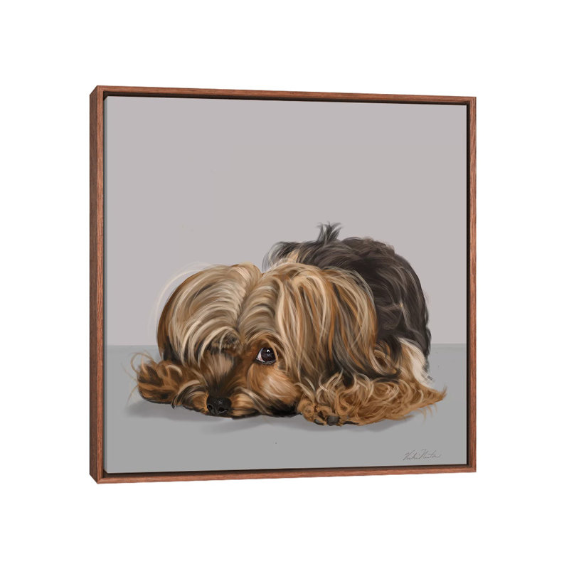 «Yorkshire Terrier One Eye Open» par Vicki Newton - reproduction d'art, Toile avec cadre en bois brun classique, Aucun mat