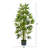 Faux Bamboo Tree in Pot-31481737