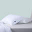 Original Collection Pillow, Two Pack-61896485
