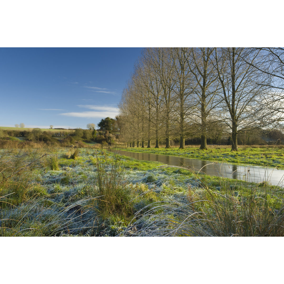 Cranborne Chase Stream von Antonyspencer - Kunstdrucke auf Leinwand ohne Rahmen