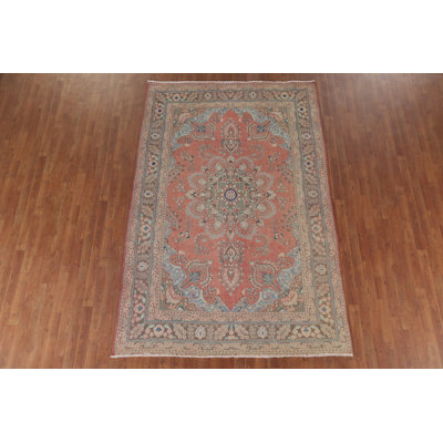 Vintage Floral Traditional Area Rug 6x9
