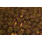 Wool Oriental Rug